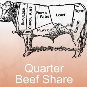 Quarter Cow (1/4) Beef Share